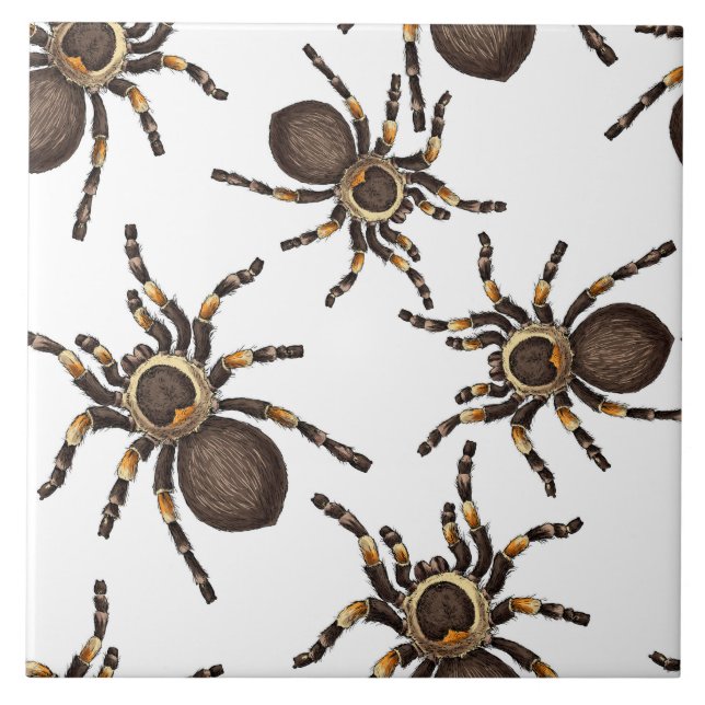 Tarantula on white tile (Front)