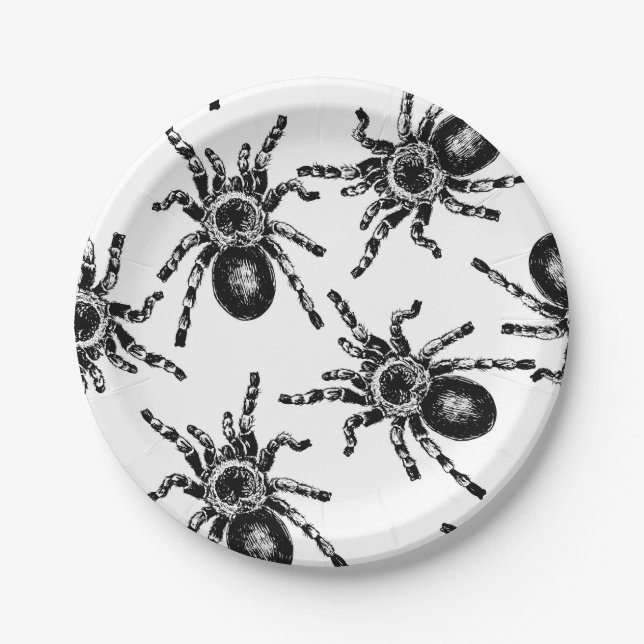 Tarantula Paper Plate (Front)