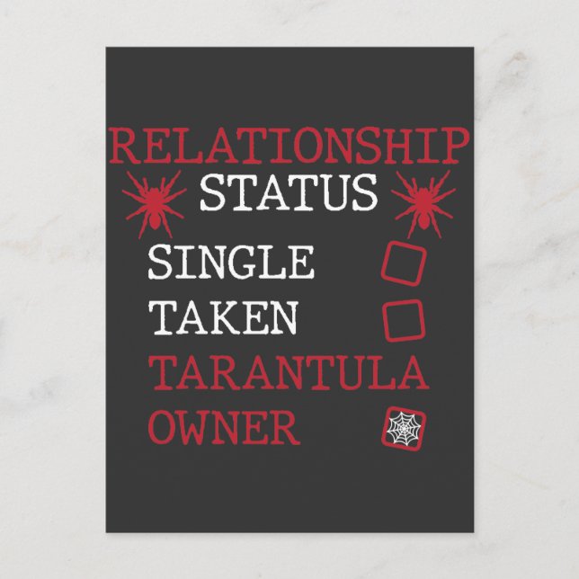Tarantula Relationship Single Taken Spider Owner Postcard (Front)