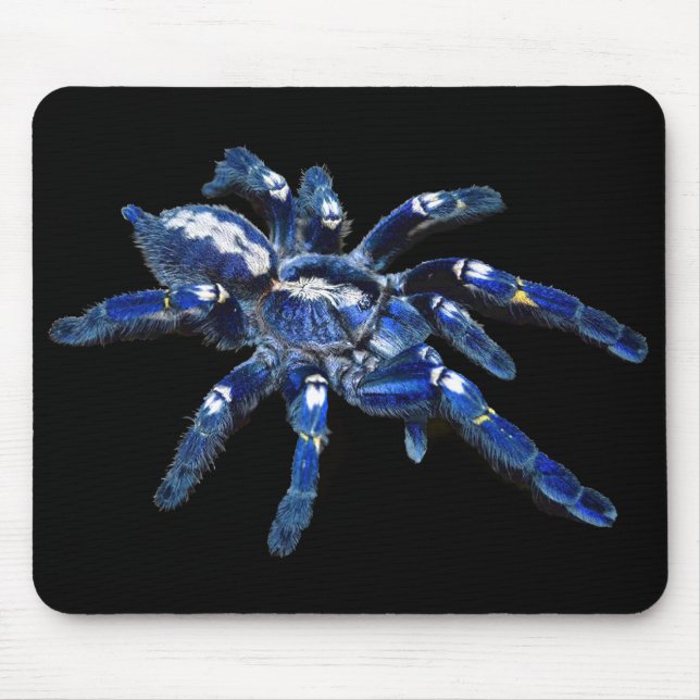 Tarantula spider, arachnid, big blue spider/black mouse pad (Front)