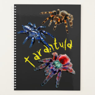 Tarantula spider, blue spider, red spider, spiders planner
