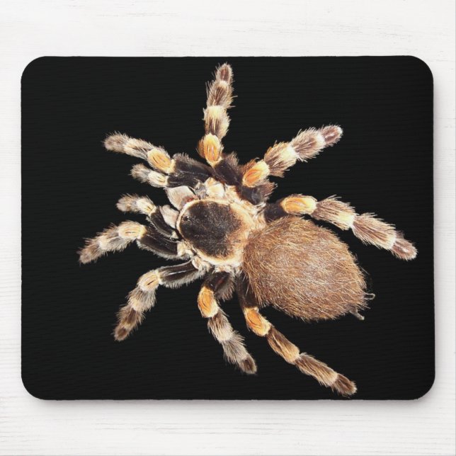 Tarantula Spider Mouse Pad (Front)