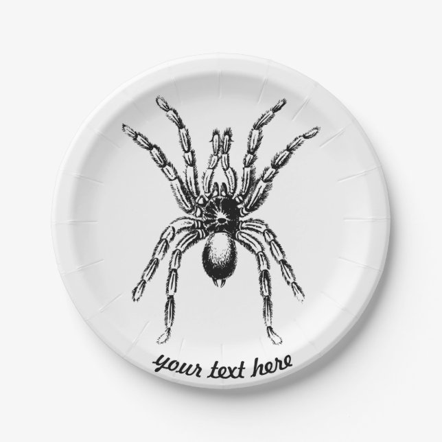 tarantula spider paper plate (Front)