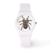 Tarantula