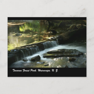 Tararua Forest Park, Wairarapa, N. Z. Postcard