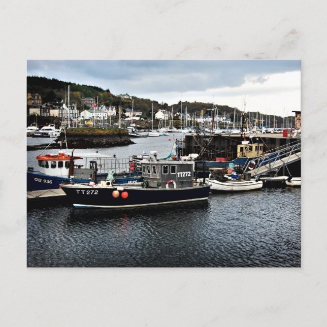 Tarbert Harbour Postcard (Front)