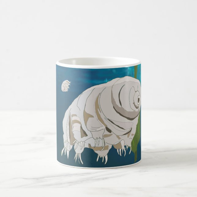 Tardigrades under the water coffee mug (Center)