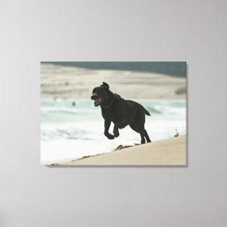 Tarifa, Cadiz, Andalusia, Spain 3 Canvas Print