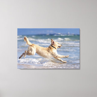 tarifa, cadiz, andalusia, spain canvas print
