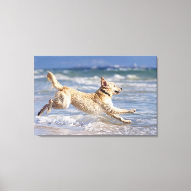 tarifa, cadiz, andalusia, spain canvas print (Front)