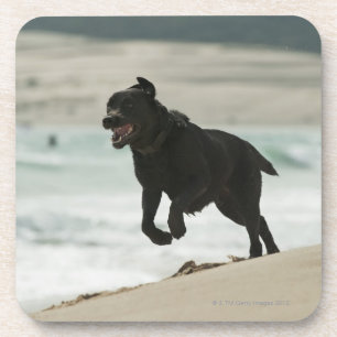 Tarifa, Cadiz, Andalusia, Spain Coaster