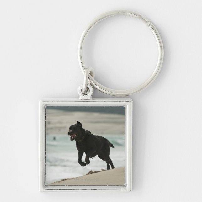 Tarifa, Cadiz, Andalusia, Spain Key Ring (Front)