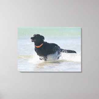 tarifa, cadiz, spain 2 canvas print