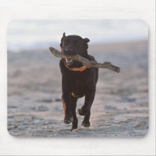 tarifa, cadiz, spain mouse pad