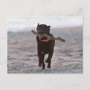 tarifa, cadiz, spain postcard