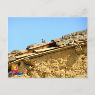 Tarjeta postal postcard