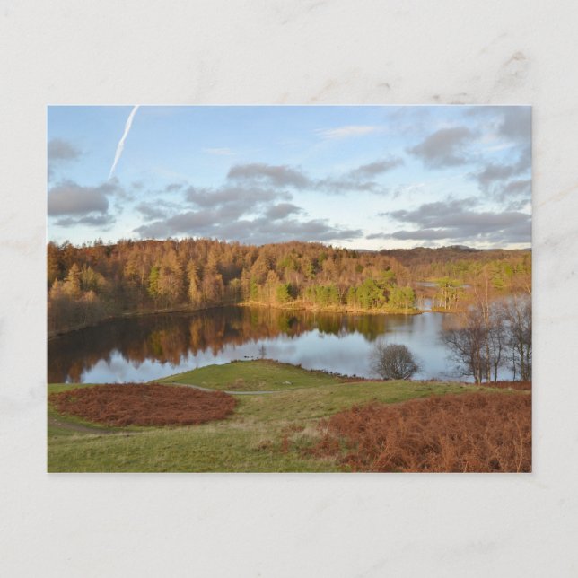 Tarn Hows - English Lake District Postcard (Front)