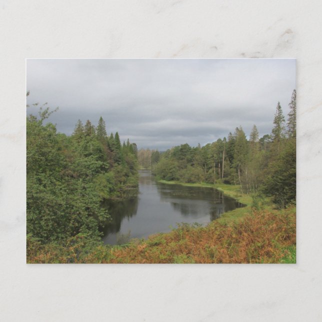Tarn Hows - Lake District Postcard (Front)