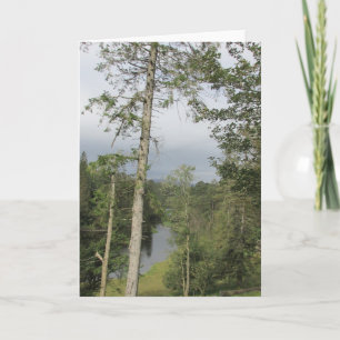 Tarn Hows Trees Card