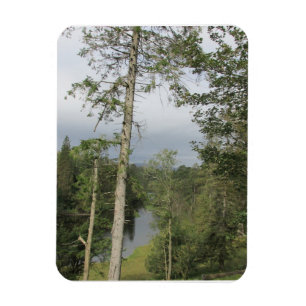 Tarn Hows Trees Flexible Photo Magnet