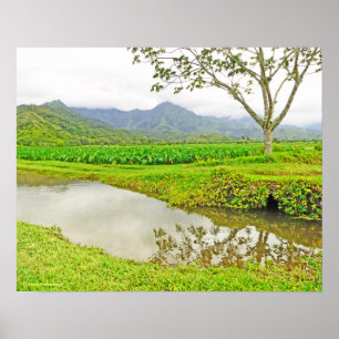 "TARO FIELDS ON WAY TO HANALEI" POSTER