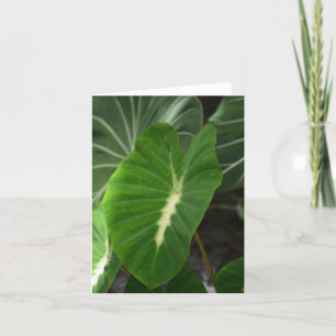 Taro plant notecard
