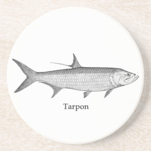 Tarpon Logo (line art) Coaster