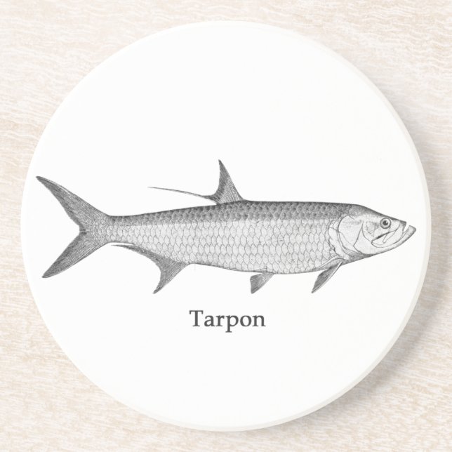 Tarpon  Logo  (line art) Coaster (Front)