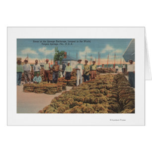 Tarpon Springs, FL - Scene of Sponge Exchange