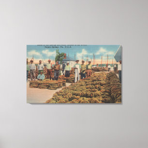 Tarpon Springs, FL - Scene of Sponge Exchange Canvas Print