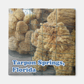 Tarpon Springs Sponges Magnet