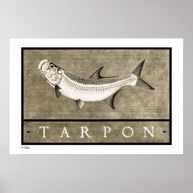 Tarpon Vintage B&W Posters, Prints and Frames (Front)