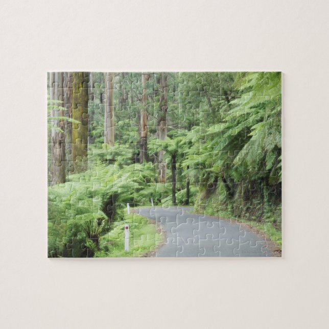 Tarra Bulga National Park, Strzelecki Ranges Jigsaw Puzzle (Horizontal)