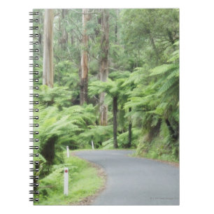 Tarra Bulga National Park, Strzelecki Ranges Spiral Notebook