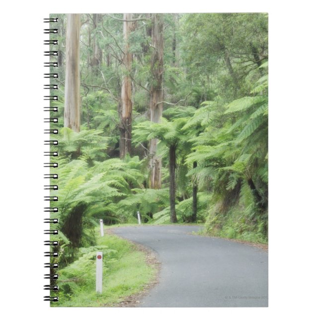 Tarra Bulga National Park, Strzelecki Ranges Spiral Notebook (Front)
