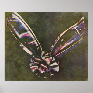 Tartan Ribbon First Known Colour Photograph Poster