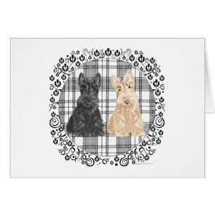 Tartan Scotties