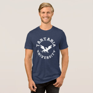 Tartaria University Conspiracy Theory Tri-Blend Shirt