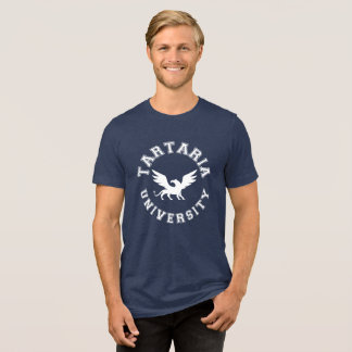 Tartaria University Conspiracy Theory Tri-Blend Shirt