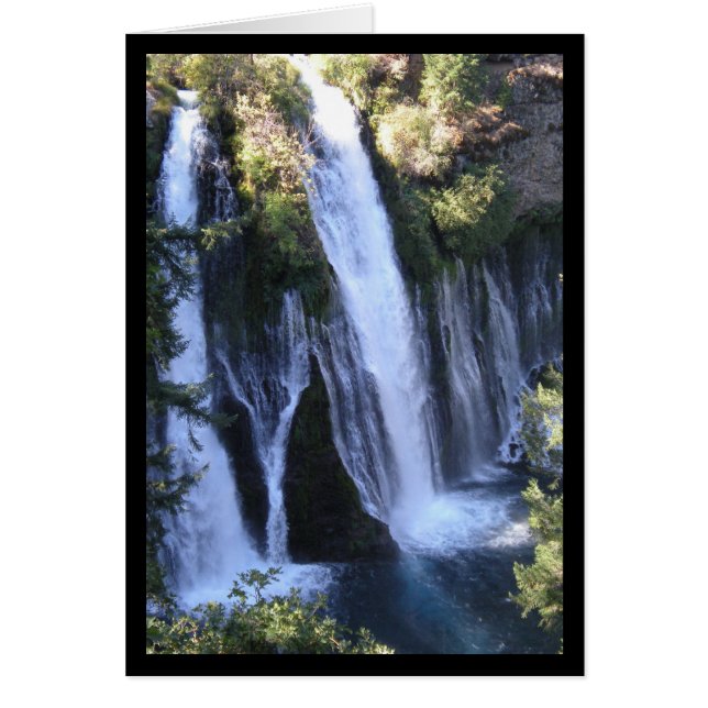 Tarzan's Waterfall- Song of Sol. 7:13 Card (Front)