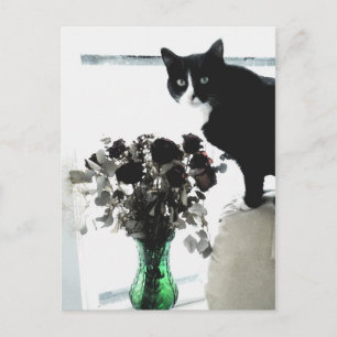 Tasha the Tuxedo Cat Postcard