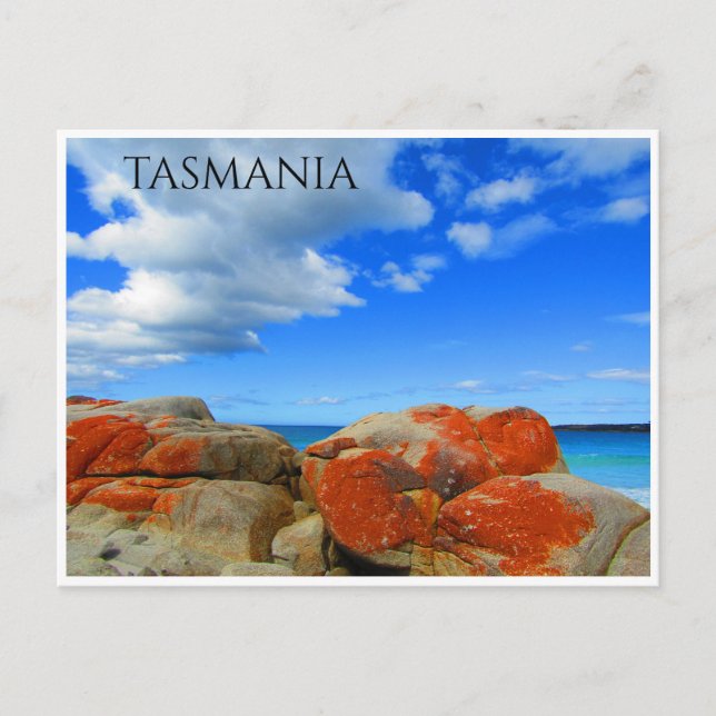 tasmania granite lichen postcard (Front)