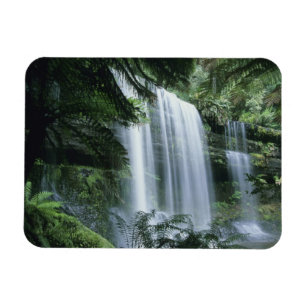 Tasmania, Mt. Field National Park, Russell Falls Magnet