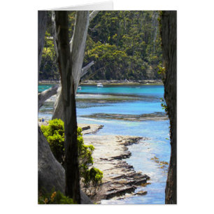Tasmanian Coast