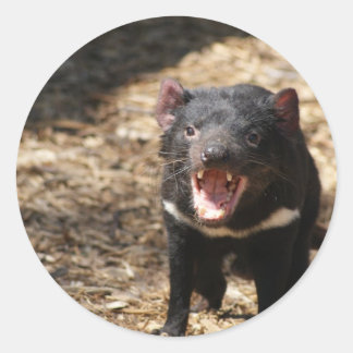 Tasmanian Devil Classic Round Sticker