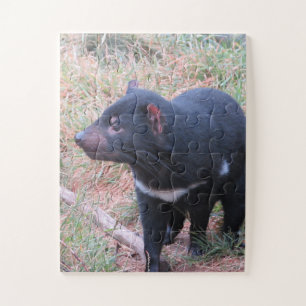 Tasmanian Devil Jigsaw Puzzle