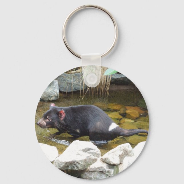 Tasmanian Devil Key Ring (Front)