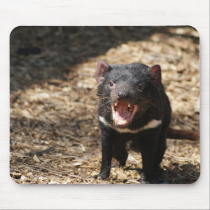 Tasmanian Devil Mouse Pad