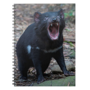 Tasmanian Devil Notebook
