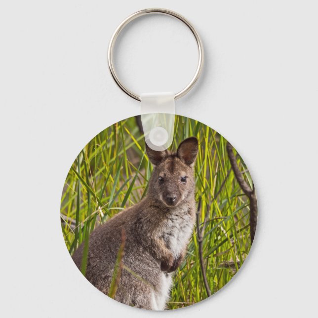 Tasmanian Pademelon Key Ring (Front)